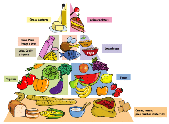 Grupos de Alimentos