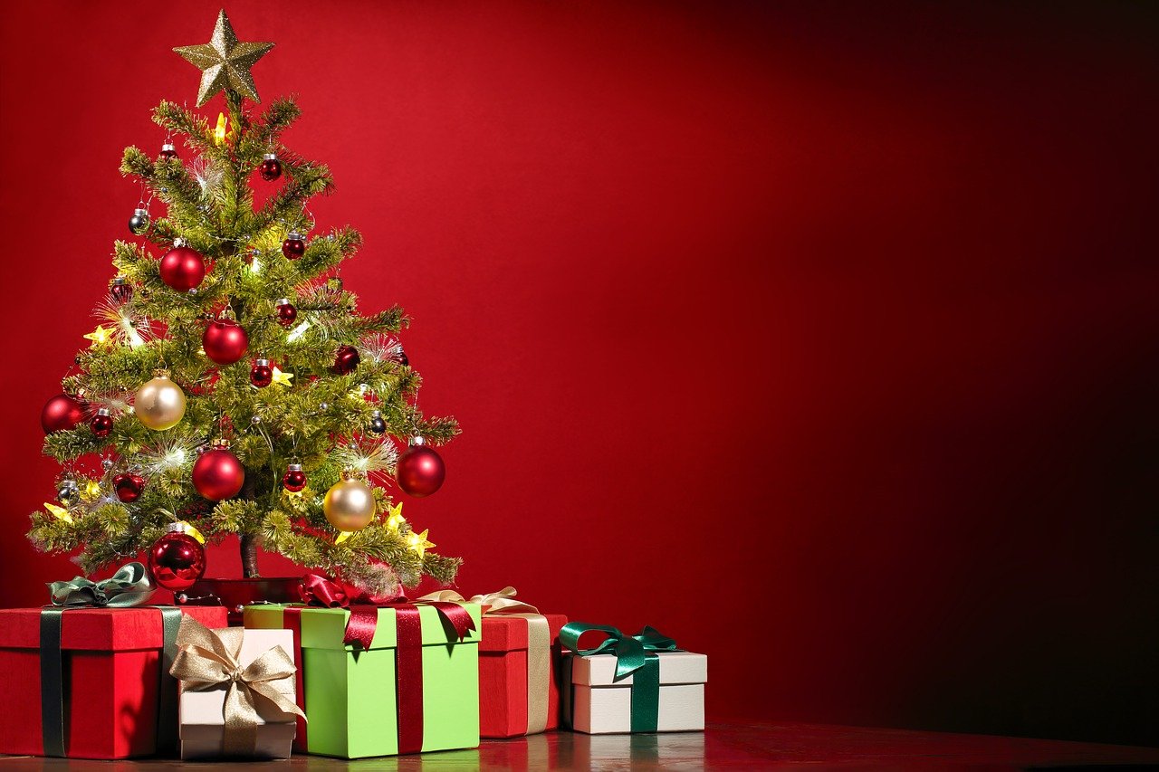 Melhor Árvore de Natal